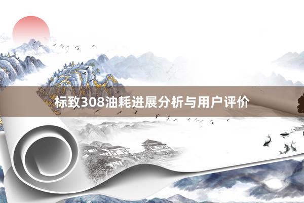 标致308油耗进展分析与用户评价