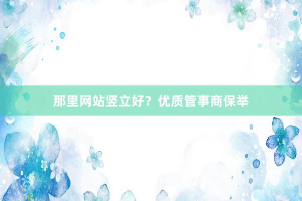 那里网站竖立好？优质管事商保举