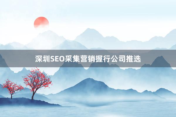深圳SEO采集营销握行公司推选