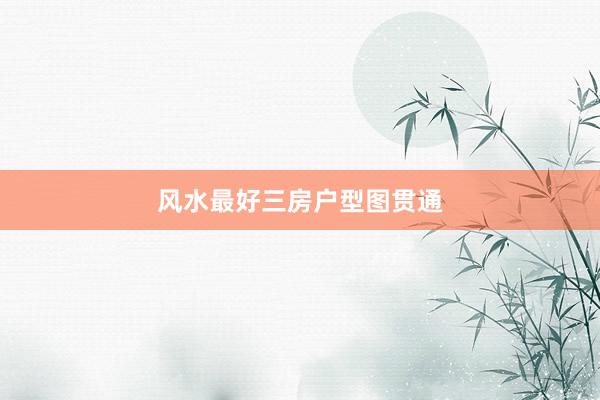 风水最好三房户型图贯通