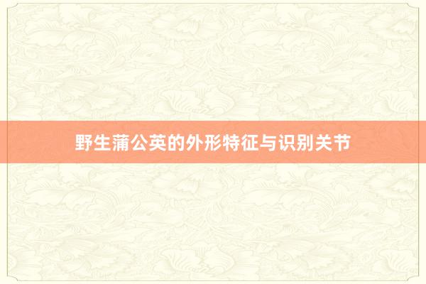 野生蒲公英的外形特征与识别关节