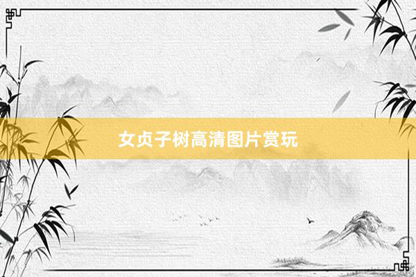 女贞子树高清图片赏玩