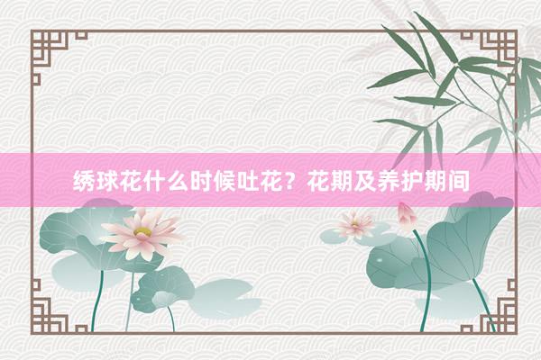 绣球花什么时候吐花？花期及养护期间